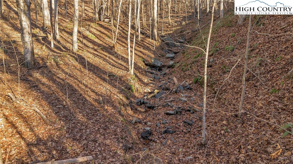 Beautiful stream that comes down from Mount Jeffer