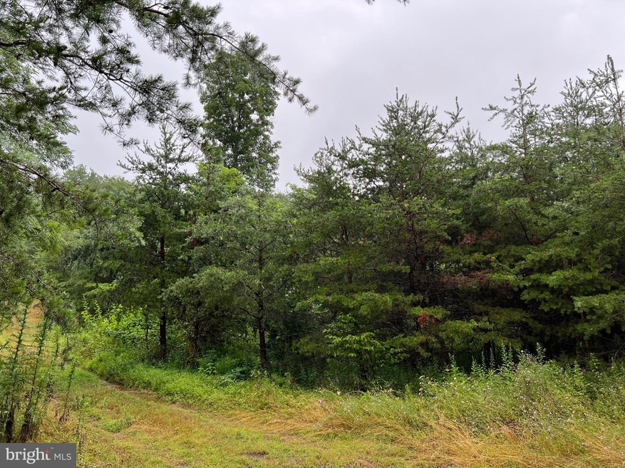 0 Upland Trail unit WVMO2002074, Berkeley Springs, WV 25411 - photo 1