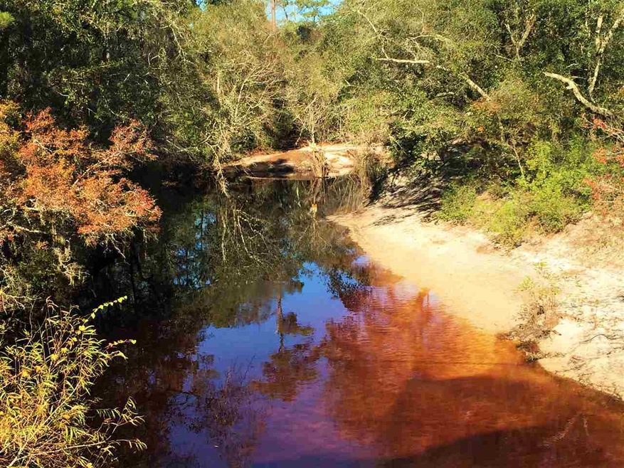 xx Heritage Creek Rd, Crawfordville, FL 32327 - photo 1