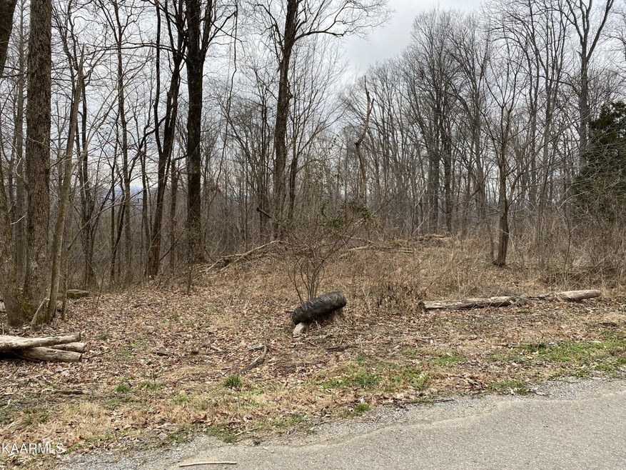 0 Walker Mountain Rd, Cookeville, TN 38506 - photo 1