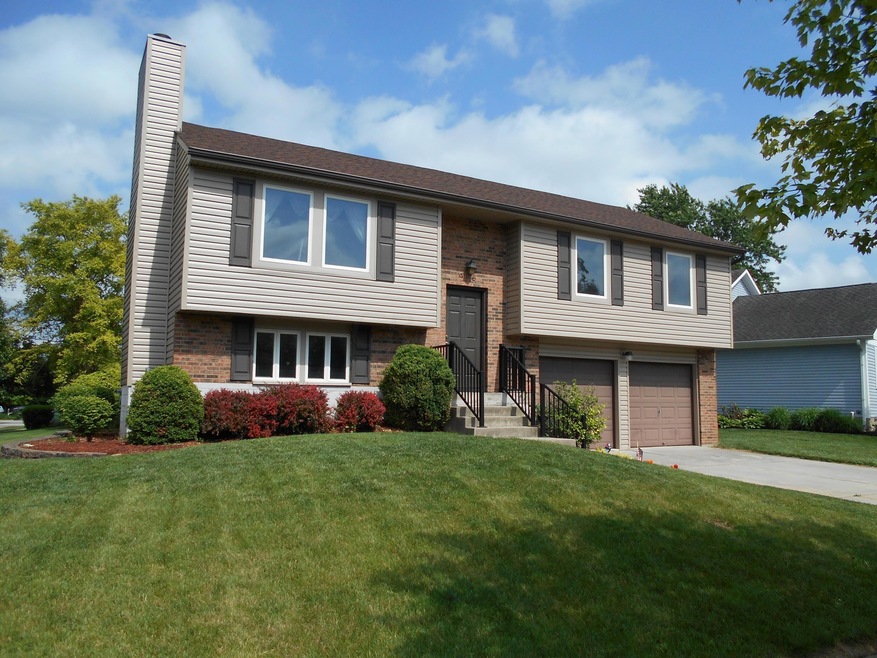 Front Ext