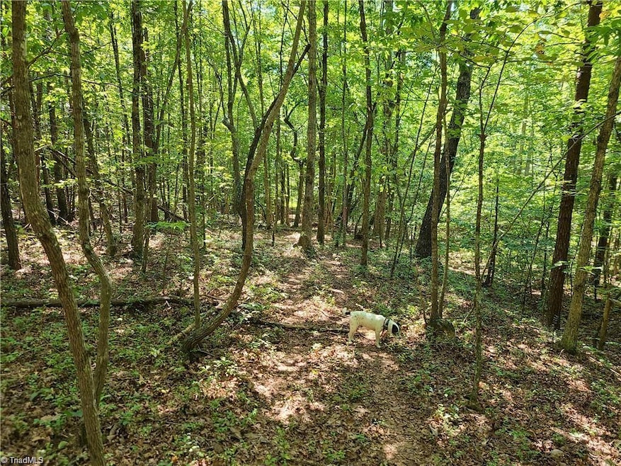 00 Grassy Knob Rd unit 12, Pilot Mountain, NC 27041 - photo 1