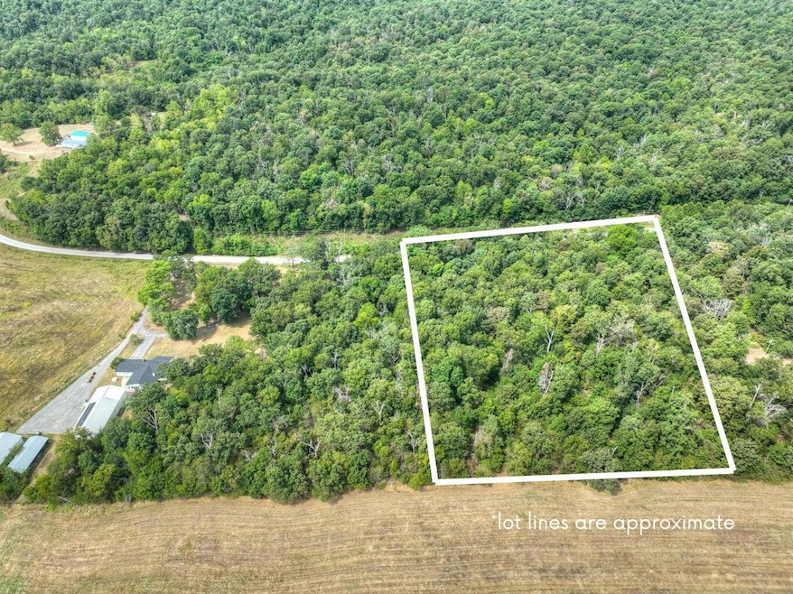 Tbd Mink Dr, Neosho, MO 64850 - photo 1