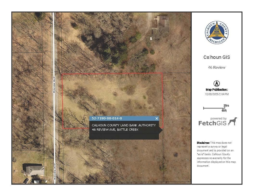 46 Review Ave, Battle Creek, MI 49037 - photo 1