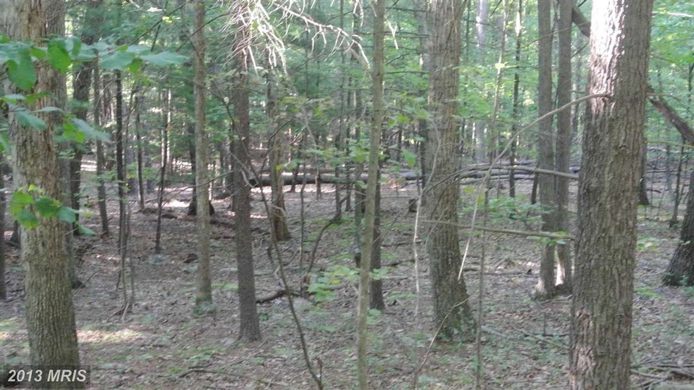 0 Calypso Trail unit 1003640048, Great Cacapon, WV 25422 - photo 1