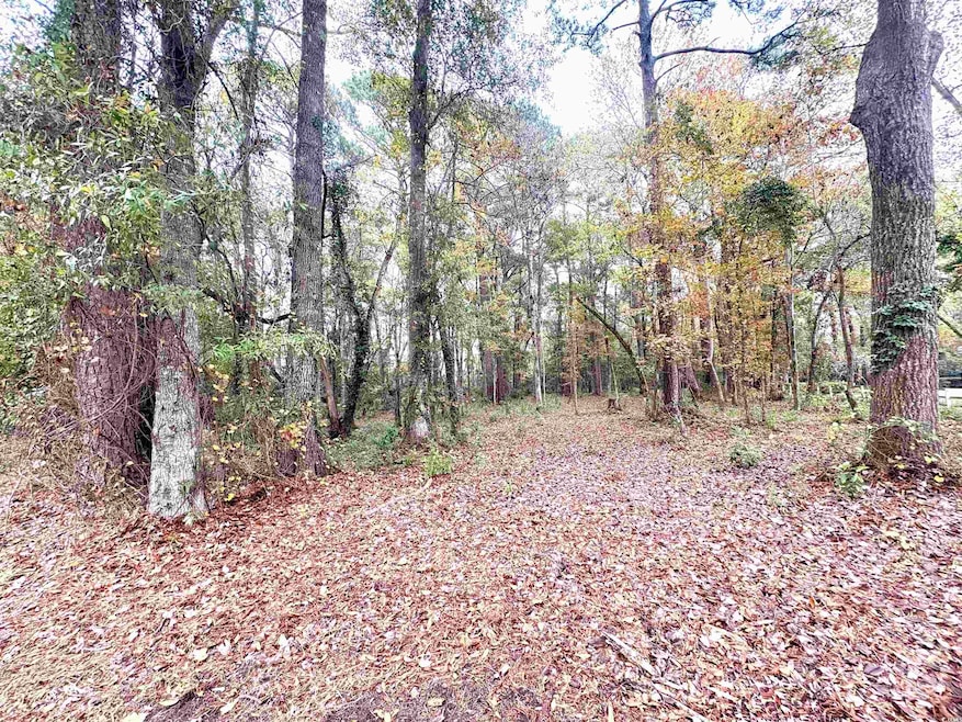 Lot 34 Old Augusta Dr, Pawleys Island, SC 29585 - photo 1