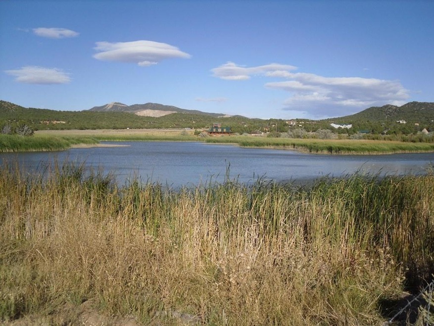 Pond
