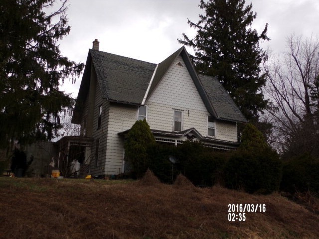Main View