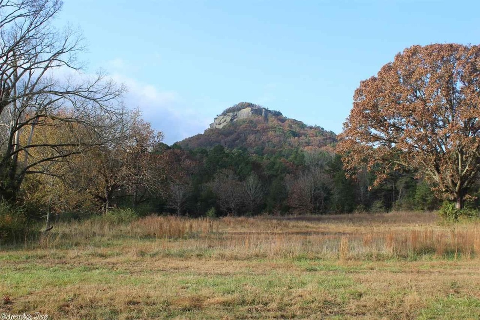 0 Hwy 110 E unit 17033878, Heber Springs, AR 72543 - photo 1