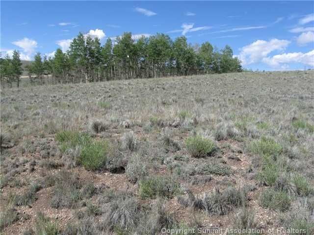 163 Mannlicher Rd, Como, CO 80432 - photo 1