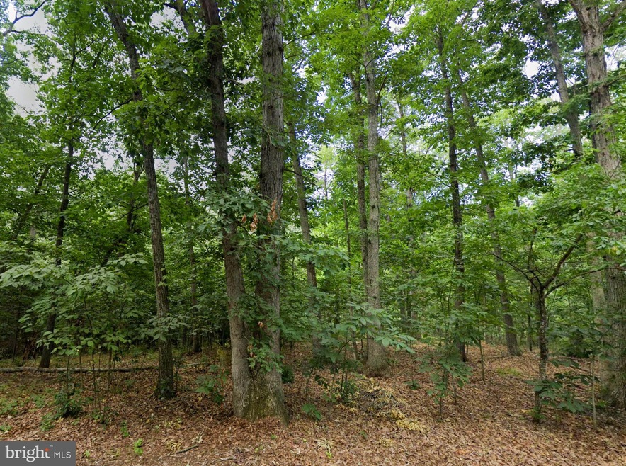 00 Level Hill Rd, Luray, VA 22835 - photo 1