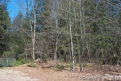 357 North St, Plymouth, CT 06782 - photo 1