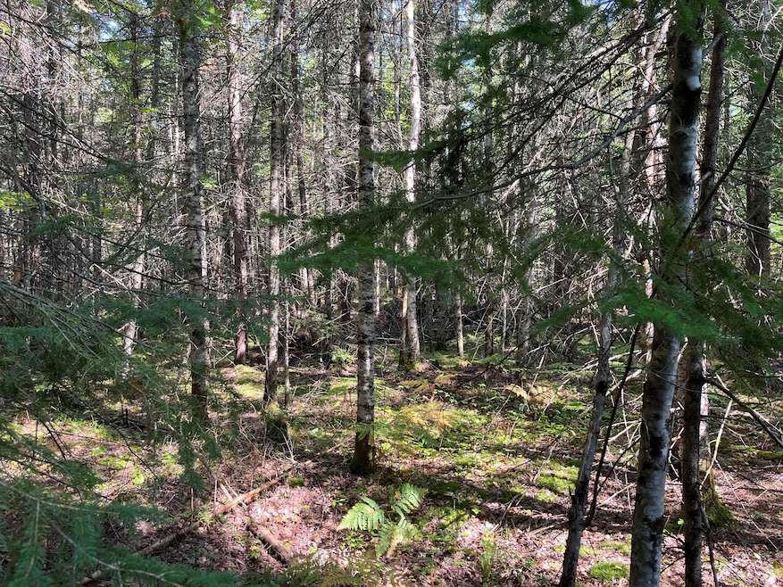 000 S Hendrie River Rd, Hulbert Township, MI 49748 - photo 1