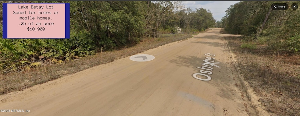 0400 Osborne St, Interlachen, FL 32148 - photo 1