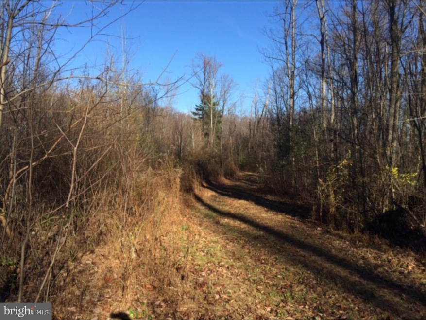 321 Blue Rocks Rd, Lenhartsville, PA 19534 - photo 1