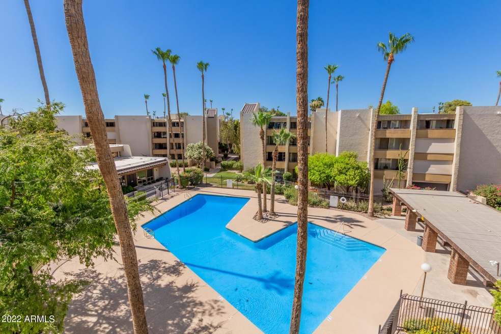 24-Camelback