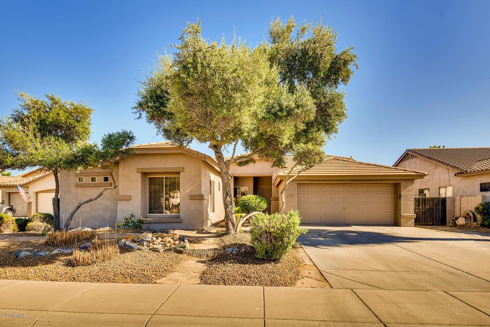 2441 E Indian Wells Chandler-large-002-0