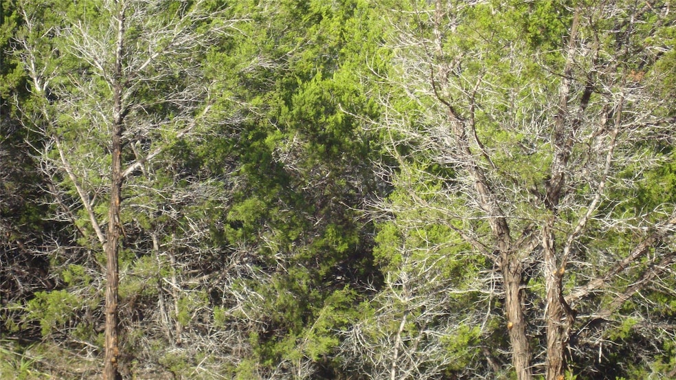 13904 & 13902 Saskatchewan Dr, Austin, TX 78734 - photo 1