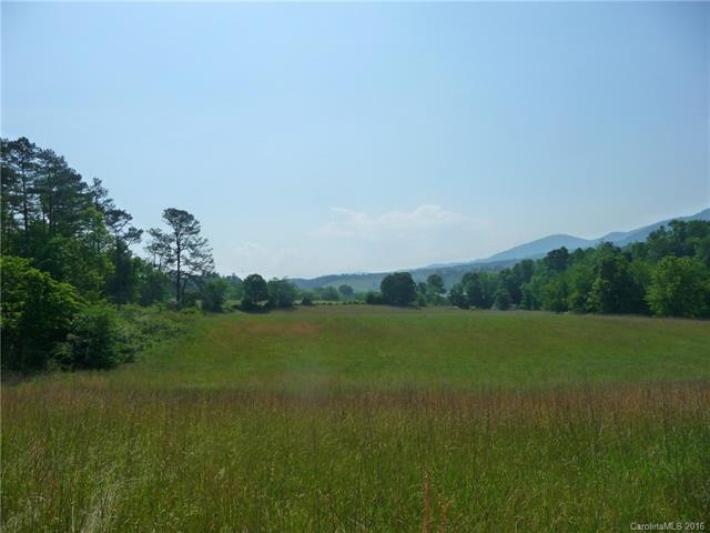 00 Jones Patton Rd, Leicester, NC 28748 - photo 1