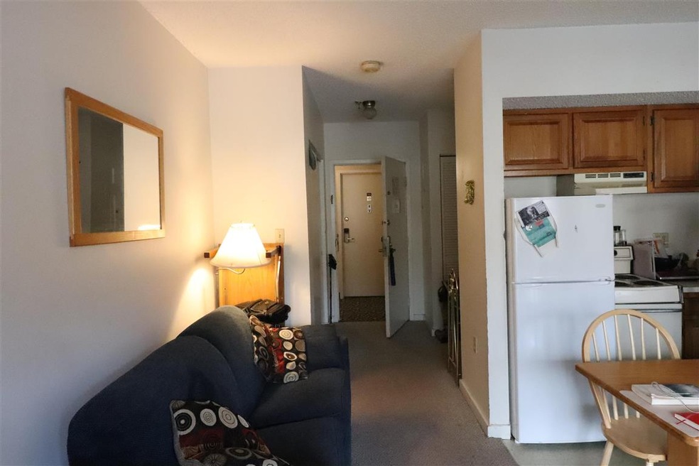 36 Lodge Rd unit D-105, Lincoln, NH 03251 - photo 1
