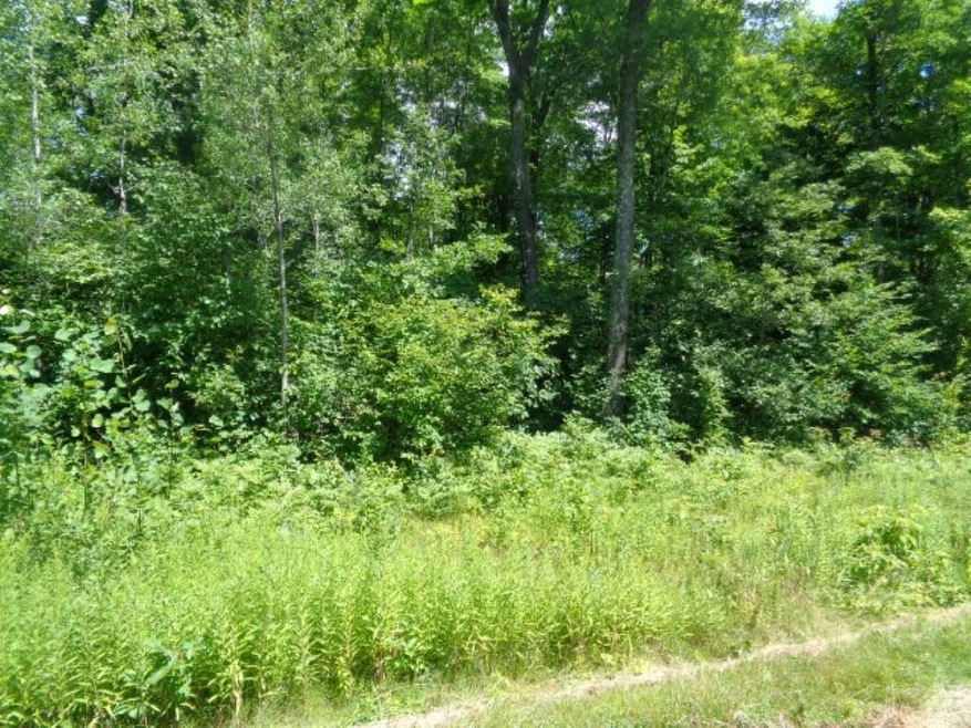 Wooded Lot