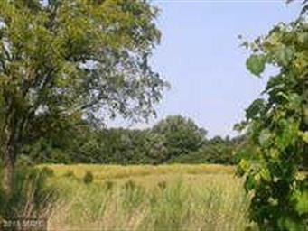 354 S River Clubhouse Rd, Harwood, MD 20776 - photo 1