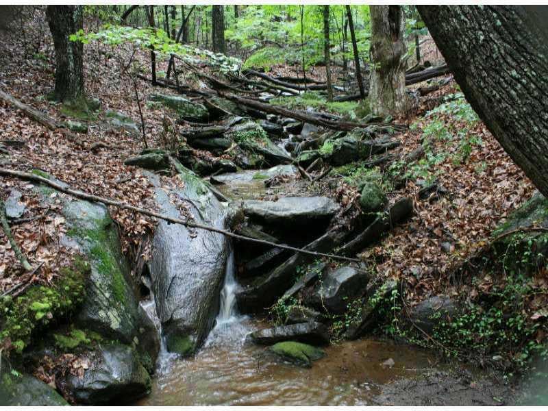 LISTEN TO THE MELODY OF THE MEANDERING STREAM.