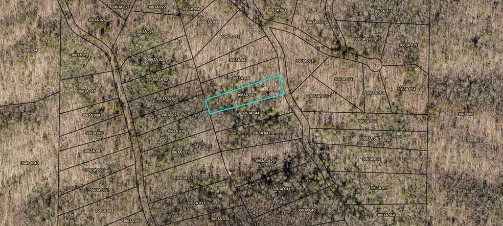 0 Whisenant Mountain Rd unit 411310, Ellijay, GA 30540 - photo 1