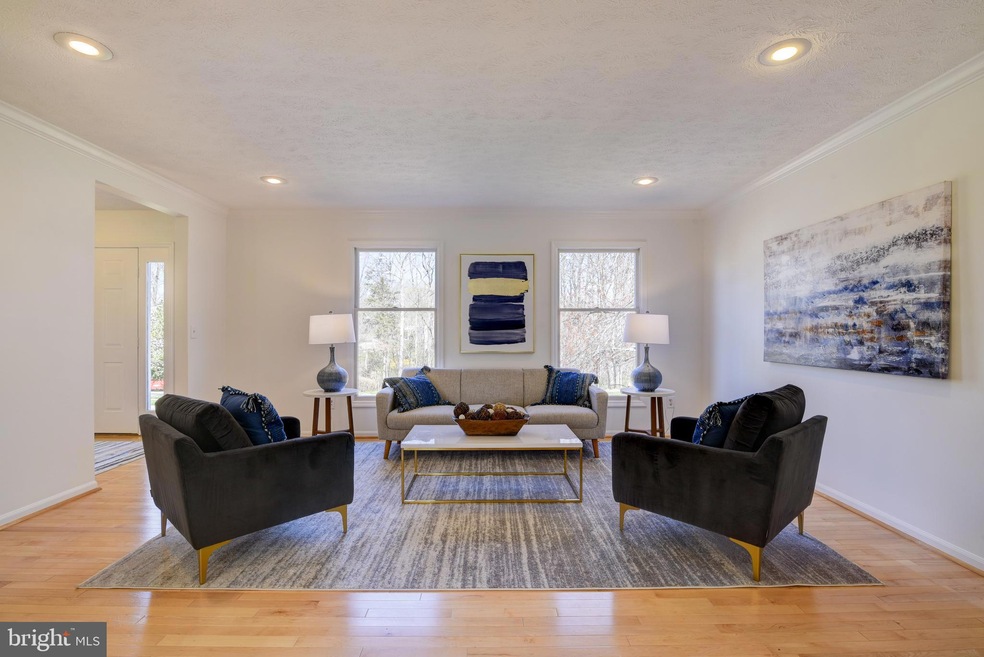 12015 Rosiers Branch Dr, Herndon, VA 20170 - photo 1