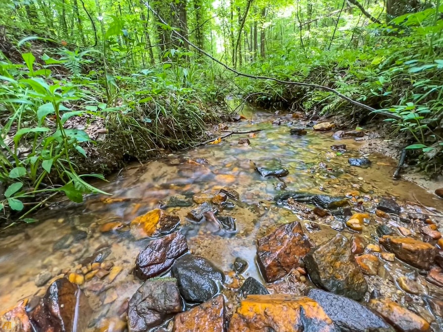 10 Pritchett Ln, Ellijay, GA 30540 - photo 1