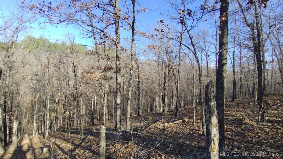 464201 Acorn Ridge, Proctor, OK 74457 - photo 1