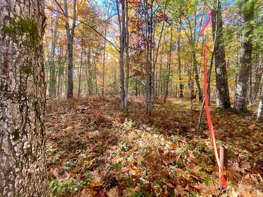 00 Cottage Ln, Brownfield, ME 04010 - photo 1