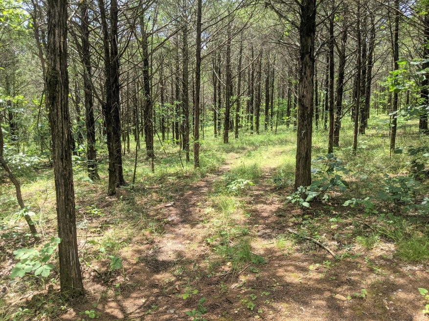 Lot 7A and Road