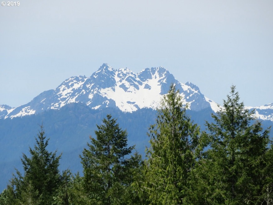 0 Wayne Rd W unit 4 & 5 19216783, Seabeck, WA 98380 - photo 1