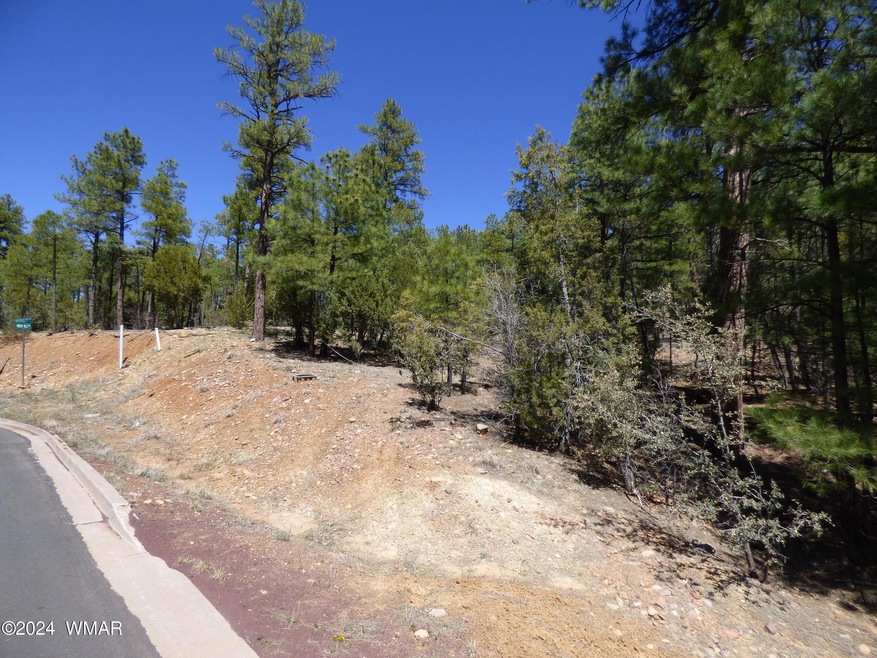 2401 S Hidden Ridge Trail (61)