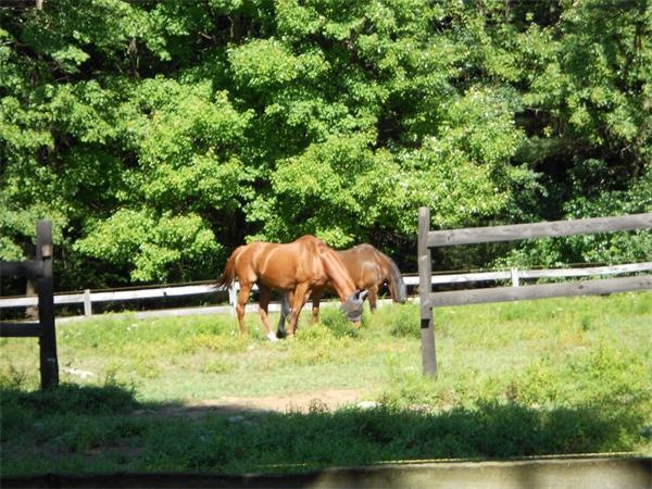 335 Oak St, Newport, NH 03773 - photo 1