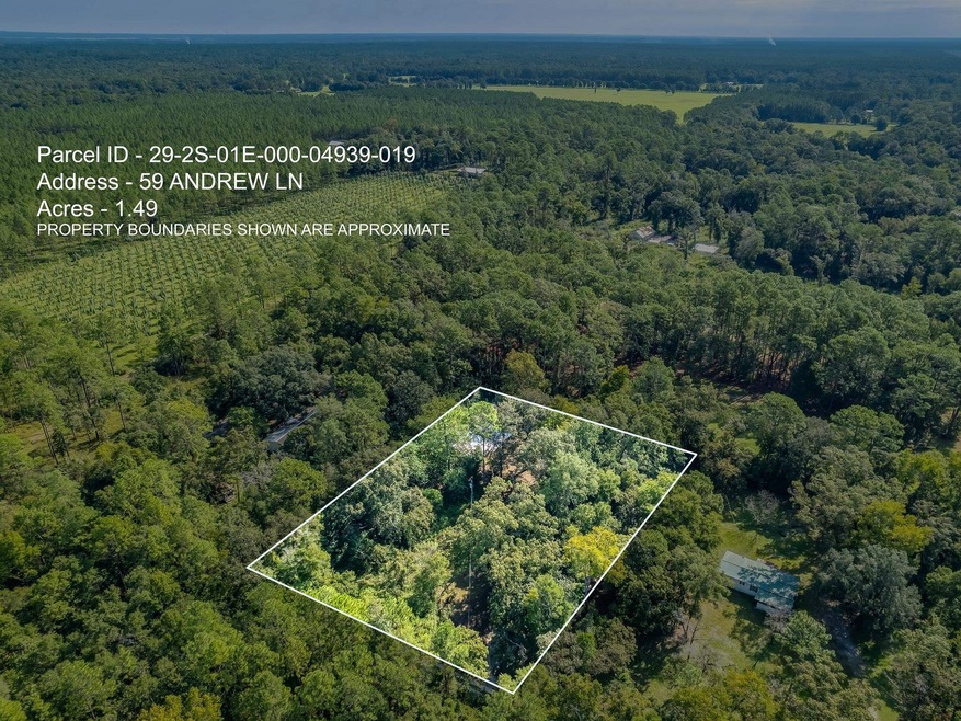 59 Andrew Ln, Crawfordville, FL 32327 - photo 1