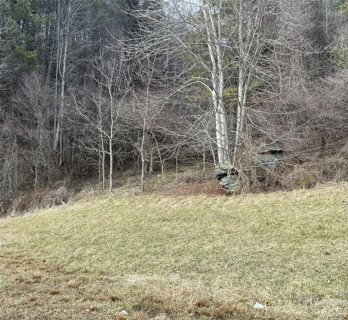 TBD Us Hwy 19 None, Burnsville, NC 28714 - photo 1