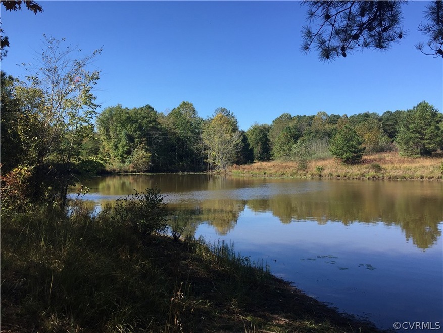 0 Ruther Glen Rd unit 1934018, Caroline, VA 22546 - photo 1