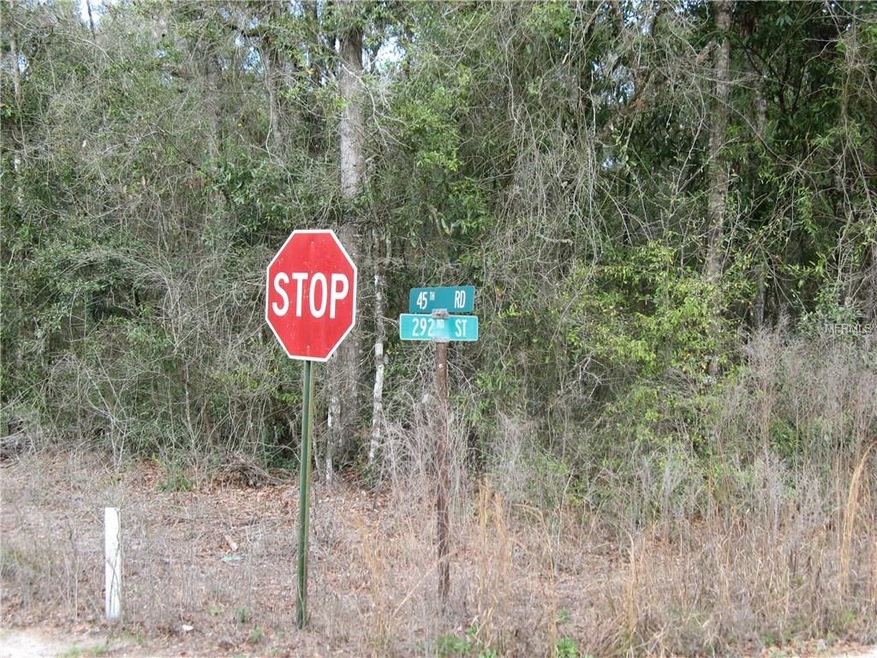 0 45th Rd unit G4837925, Branford, FL 32008 - photo 1