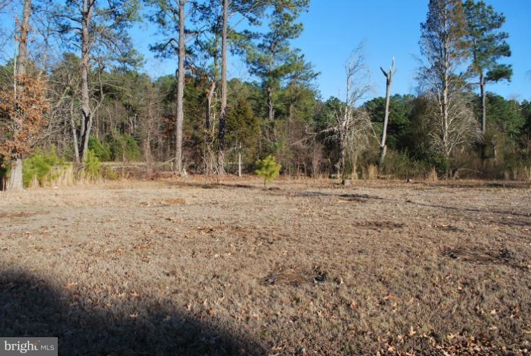 0 Wilson Dr unit 1003829874, Sandy Point, VA 22577 - photo 1