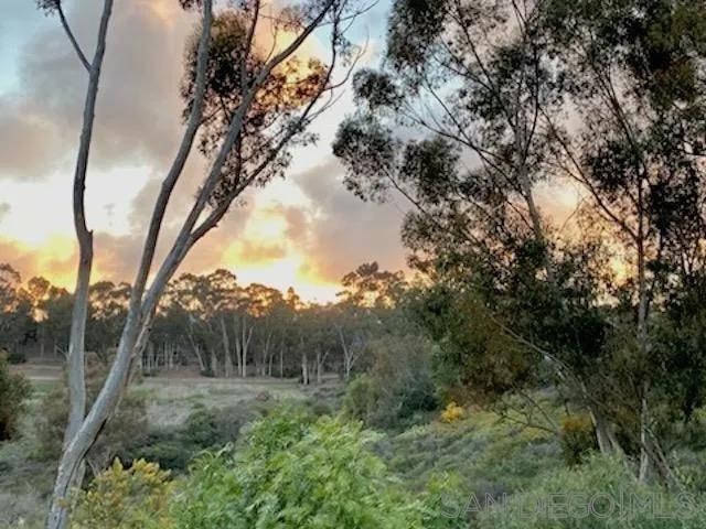 2835 Hillsboro Ct, Carlsbad, CA 92010 - photo 1