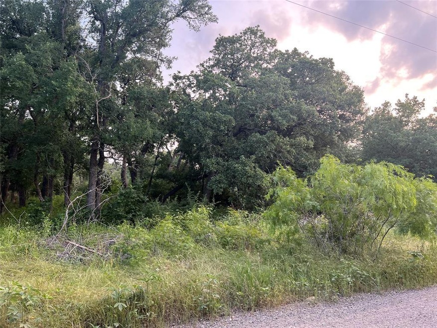 Wooded Lot