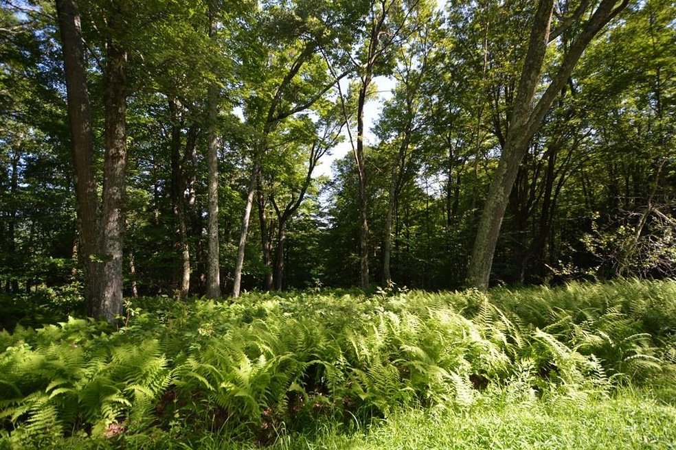 Lot 11 Mountain Rd, Mount Washington, MA 01258 - photo 1