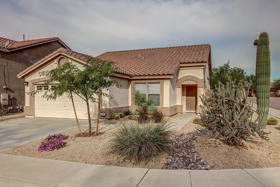 Welcome to the GEM in Tatum Ranch