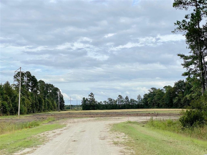 TBD Wise Farm Rd unit Parcel C, Aynor, SC 29511 - photo 1