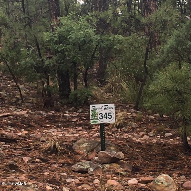 2321 S Bristlecone Dr, Show Low, AZ 85901 - photo 1