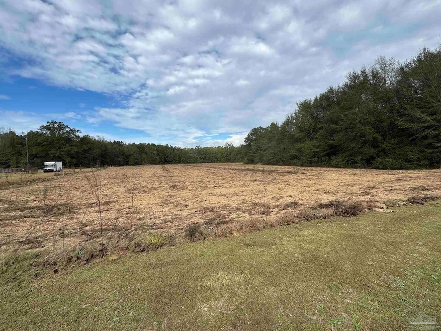 Lot 1 Freemanville Dr, Atmore, AL 36502 - photo 1