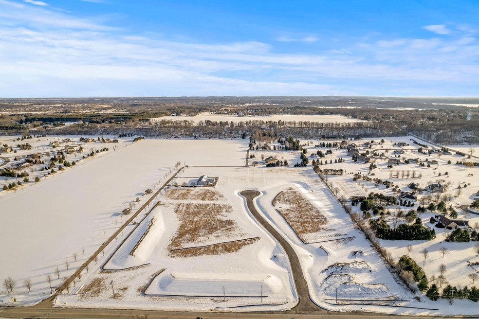 Birdlewood Estates - Drone -1