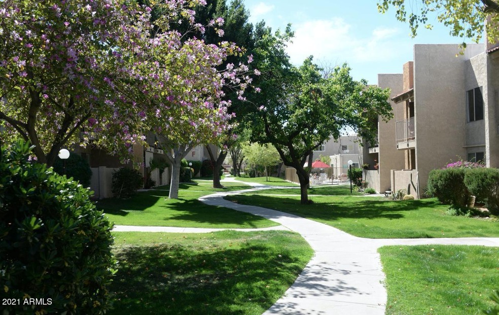 LUSH walking paths